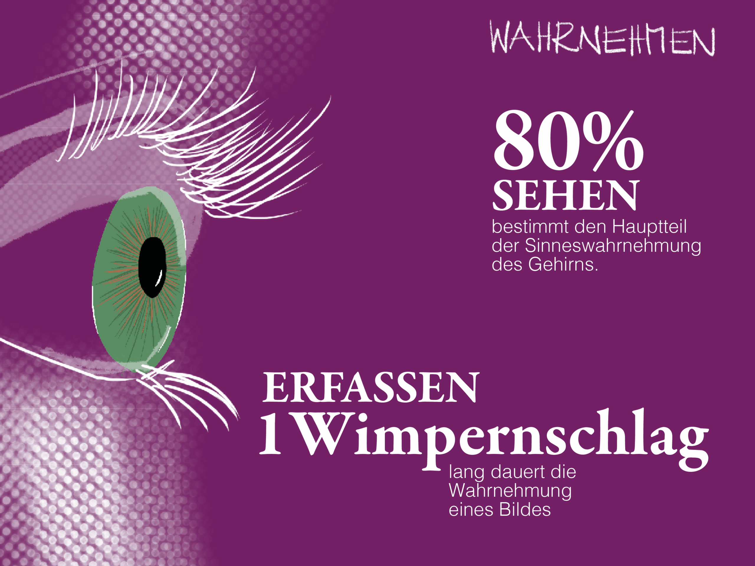 Infografik zum Thema Wahrnehmung